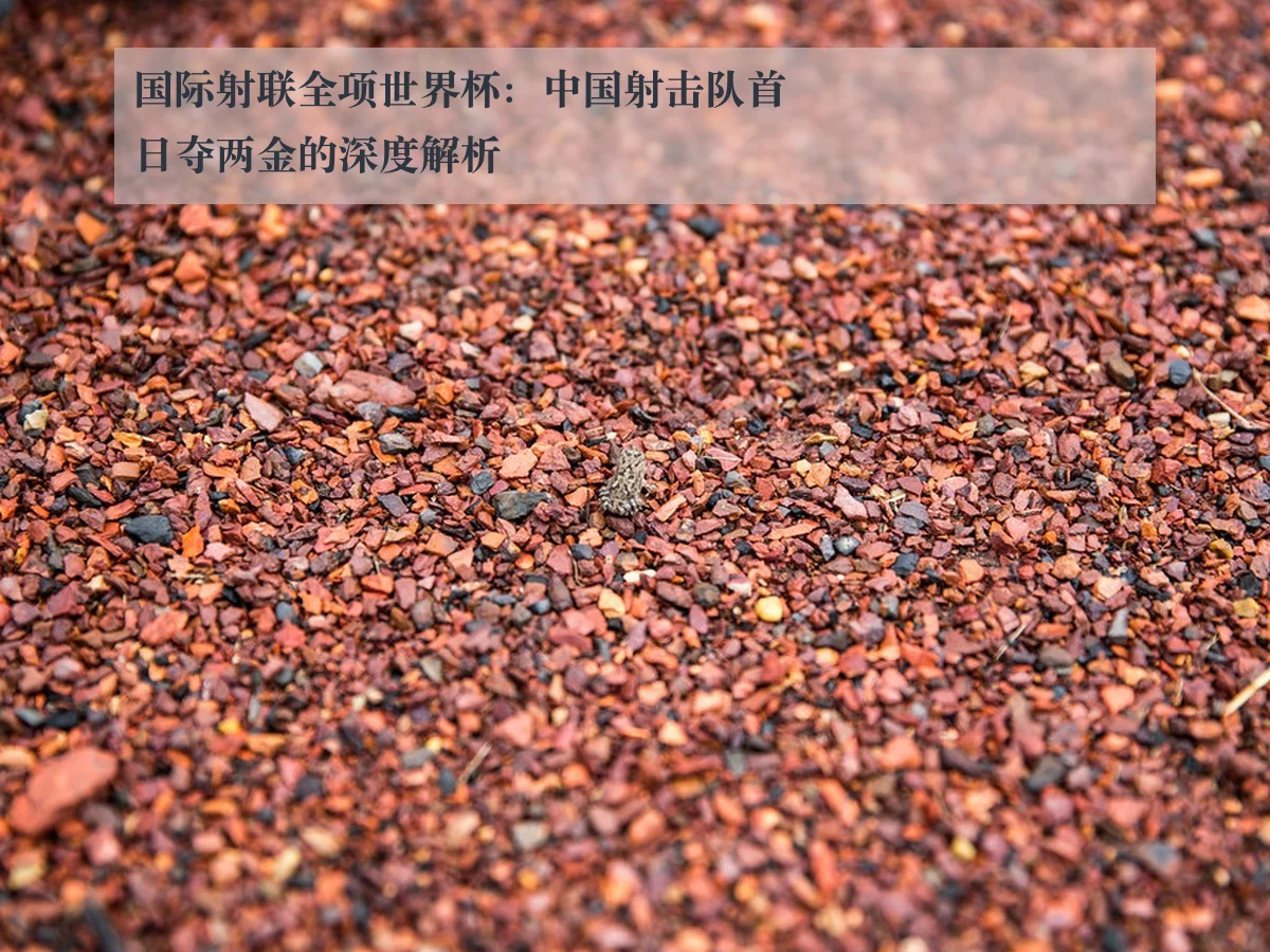 国际射联全项世界杯:中国射击队首日夺两金的深度解析